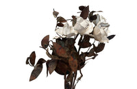 pair of large copper and enamel wall lights in the form of tied bunches of roses - AD & PS Antiques