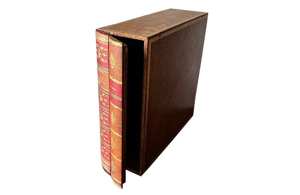 20th Century French leather faux book box file - French Antiques