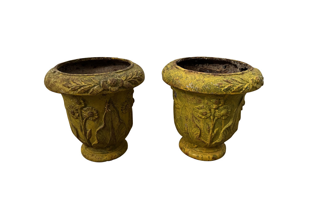 Pair of charming early 20th century French small cast iron urns decorated with daisies and leaves