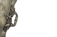 Large Rococo revival etched tray