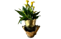 Rare, brass French florists vase comprising four flower vases