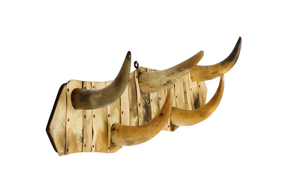 HORN HOOKS