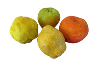 BIG, DECORATIVE TERRACOTTA TROMPE L'OEIL FRUIT & NUTS