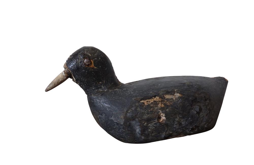 OLD COOT DECOY