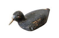 OLD COOT DECOY