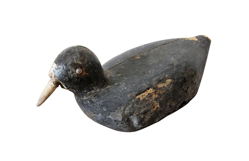 OLD COOT DECOY