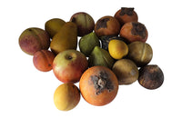 EIGHTEEN TROMPE L'OEIL MARBLE FRUIT