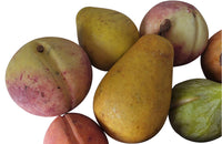 EIGHTEEN TROMPE L'OEIL MARBLE FRUIT