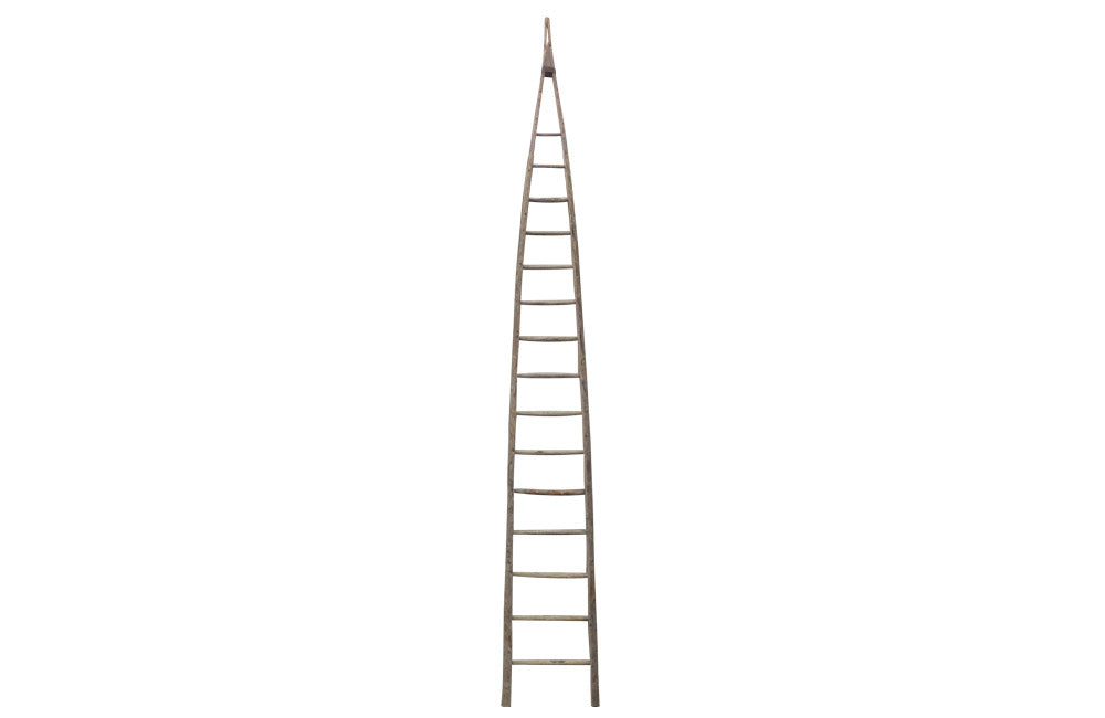 TALL FRENCH ORCHARD LADDER