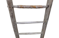 TALL FRENCH ORCHARD LADDER