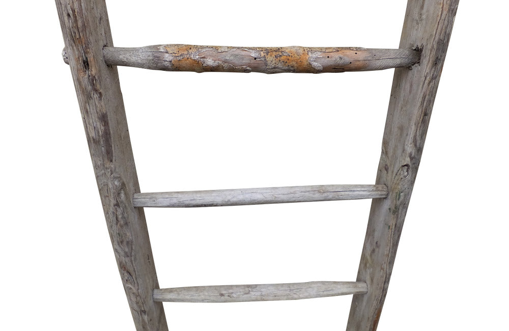 TALL FRENCH ORCHARD LADDER