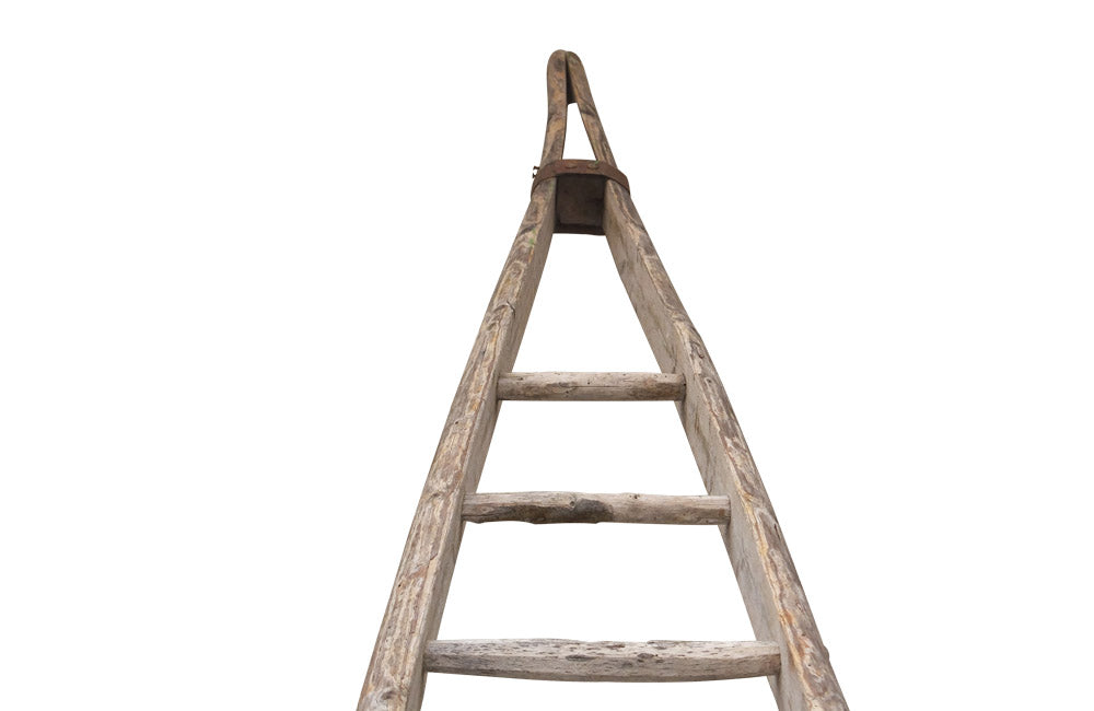 TALL FRENCH ORCHARD LADDER