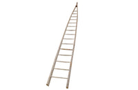 TALL FRENCH ORCHARD LADDER