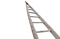 TALL FRENCH ORCHARD LADDER