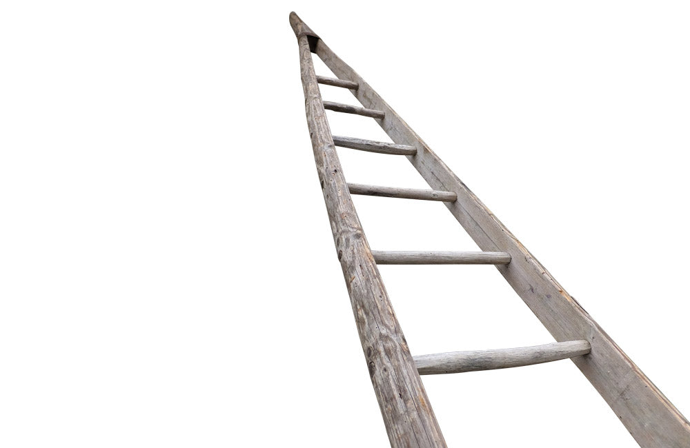 TALL FRENCH ORCHARD LADDER