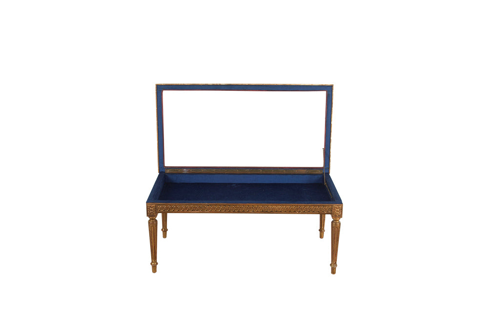 LOUIS XVI REVIVAL VITRINE COFFEE TABLE