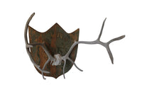 DECORATIVE ANTLER TROPHY