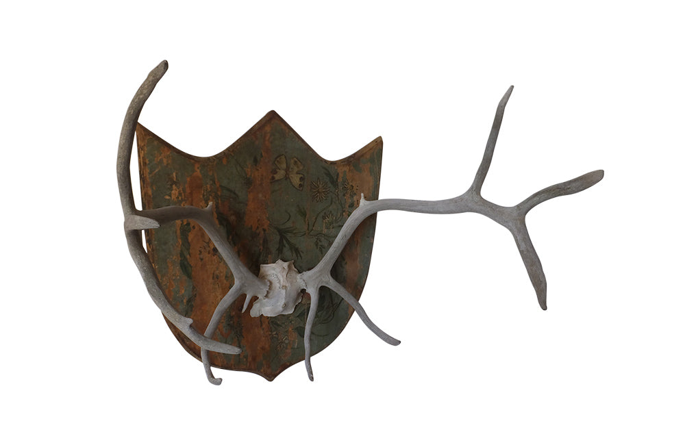 DECORATIVE ANTLER TROPHY