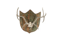 DECORATIVE ANTLER TROPHY