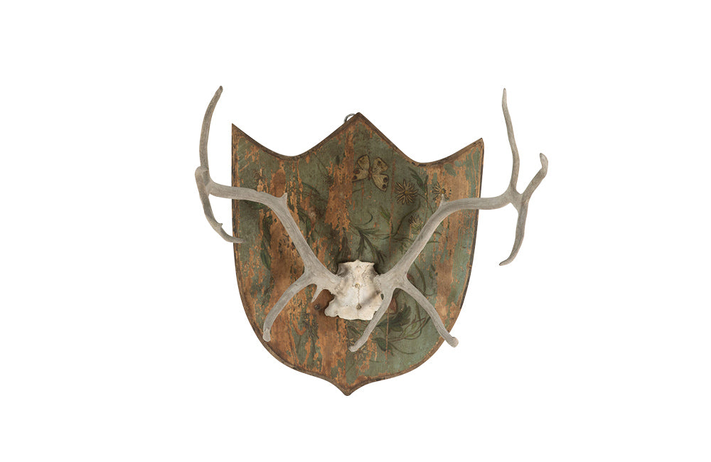 DECORATIVE ANTLER TROPHY