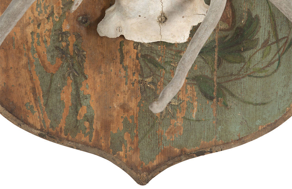 DECORATIVE ANTLER TROPHY