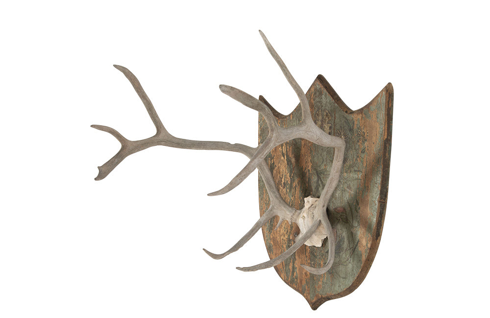DECORATIVE ANTLER TROPHY