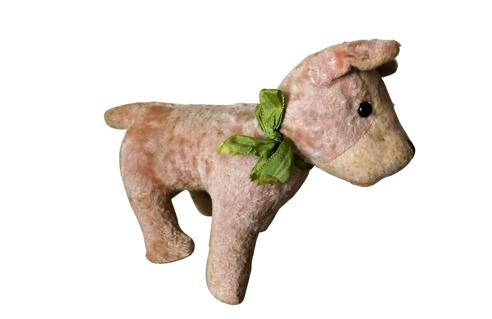 SMALL FRENCH TOY DOG