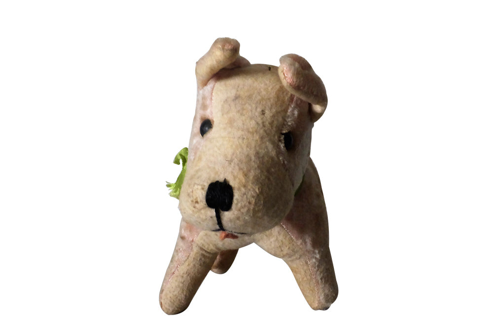 SMALL FRENCH TOY DOG