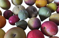 Collection of marble fruit-trompe l'oiel-decorative antiques-italian marble fruit-Italian Antiques-AD & PS Antiques