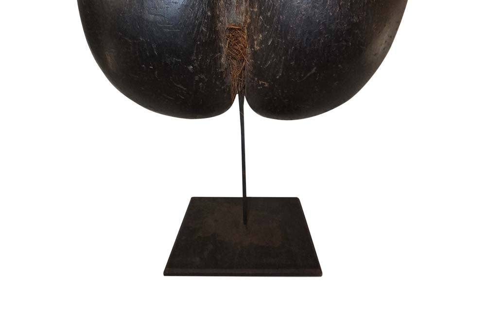 Coco de Mer-Mounted Coco de Mer Sculpture-Curiosities--AD & PS ANTIQUES