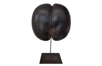 Coco de Mer-Mounted Coco de Mer Sculpture-Curiosities--AD & PS ANTIQUES