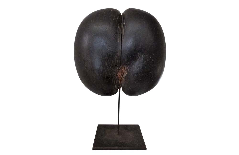 Coco de Mer-Mounted Coco de Mer Sculpture-Curiosities--AD & PS ANTIQUES