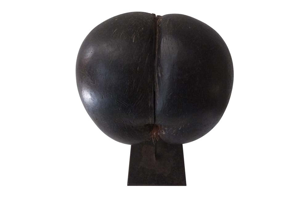 Coco de Mer-Mounted Coco de Mer Sculpture-Curiosities--AD & PS ANTIQUES