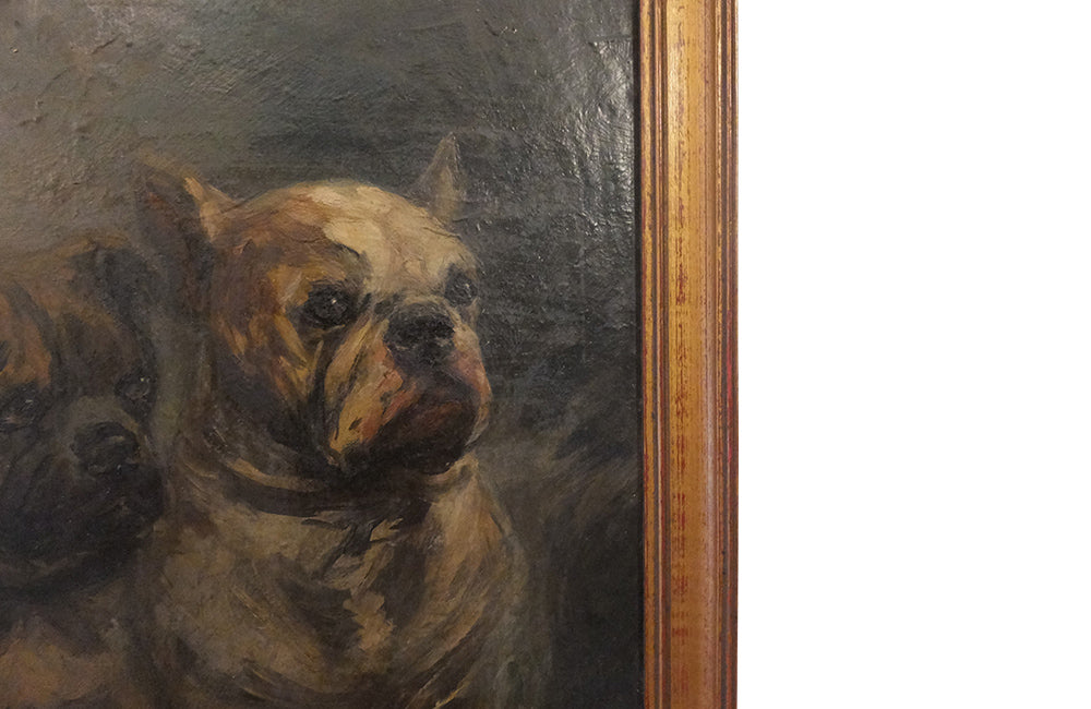 Signed Oil Painting Of A Pair Of French Pugg Dogs - Dog Painting - OIl on Canvas - Pet Portrait - Wall Art- French Antiques- Decorative Accessories - Painting- AD & PS Antiques