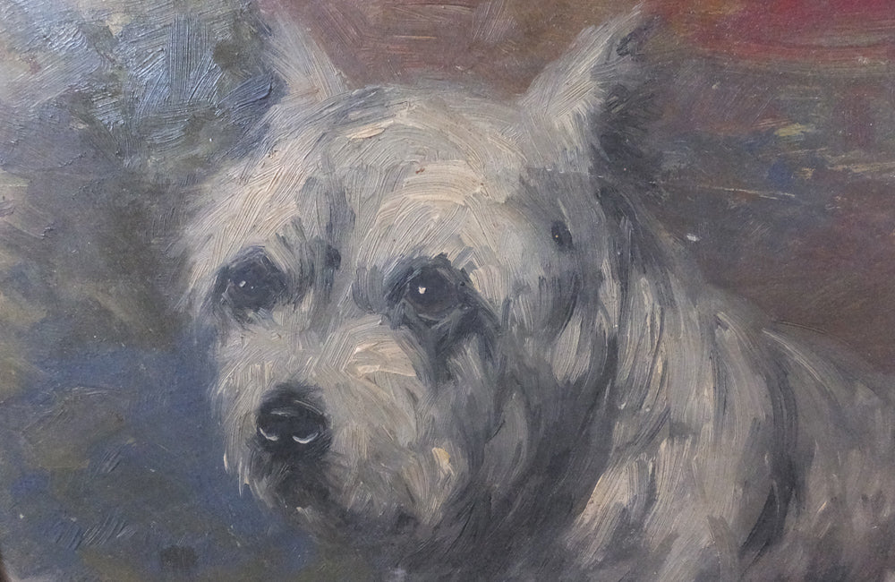 Signed Oil Painting  of A Scottie Dog - Dog Painting - Wall Art- PaintinSigned Oil Painting of A Scottie Dog - Dog Painting - Wall Art- Paintings - Antique Art- Scottie Dog- AD & PS Antiques gs - Antique Art- AD & PS Antiques
