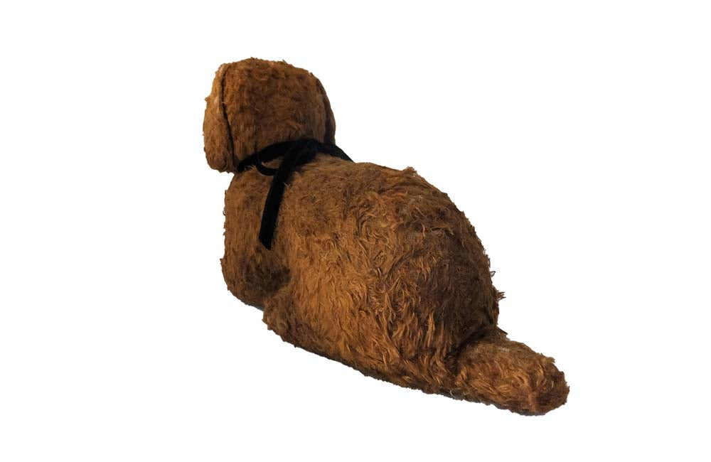 SEATED BROWN FRENCH TOY DOG