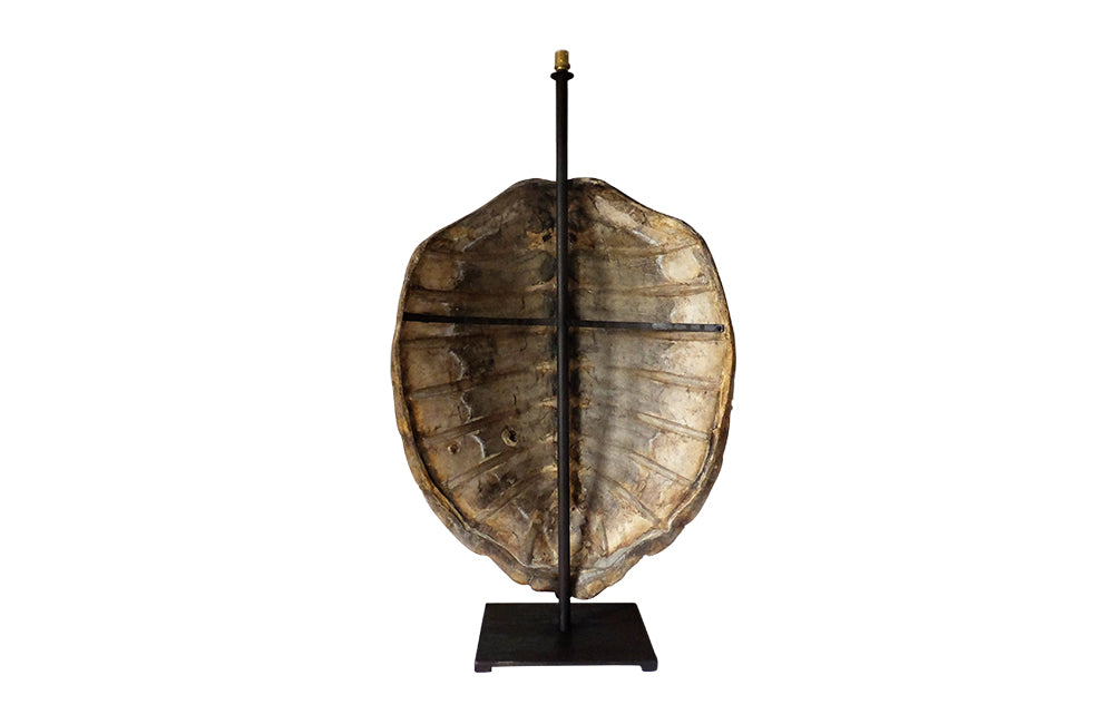 Large Turtleshell Lamp-Animalia-Table Lamp-Lighting-AD & PS Antiques