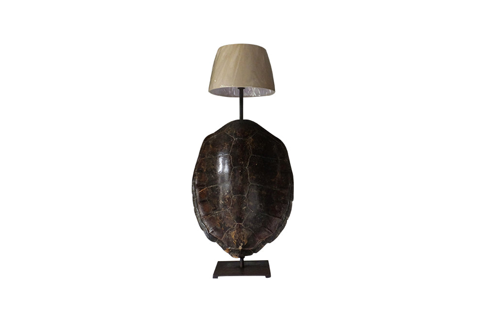 Large Turtleshell Lamp-Animalia-Table Lamp-Lighting-AD & PS Antiques