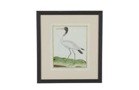 Collection of thirteen 18th Century French bird engravings by Francois Nicolas Martinet [1726-1804].