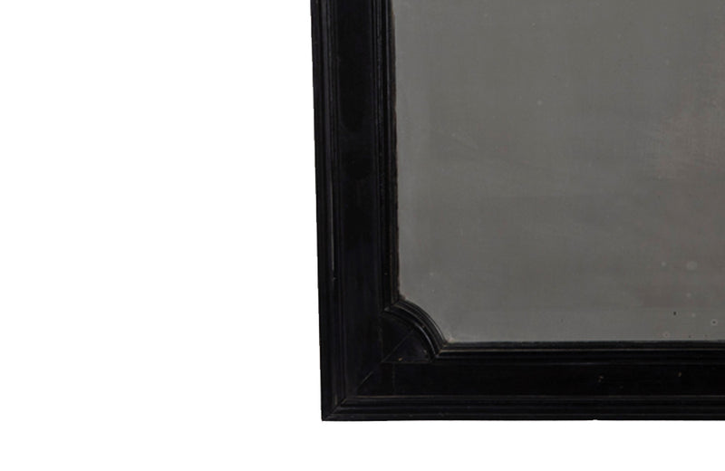 French 19th century ebonised framed Napoleon III bevelled mirror