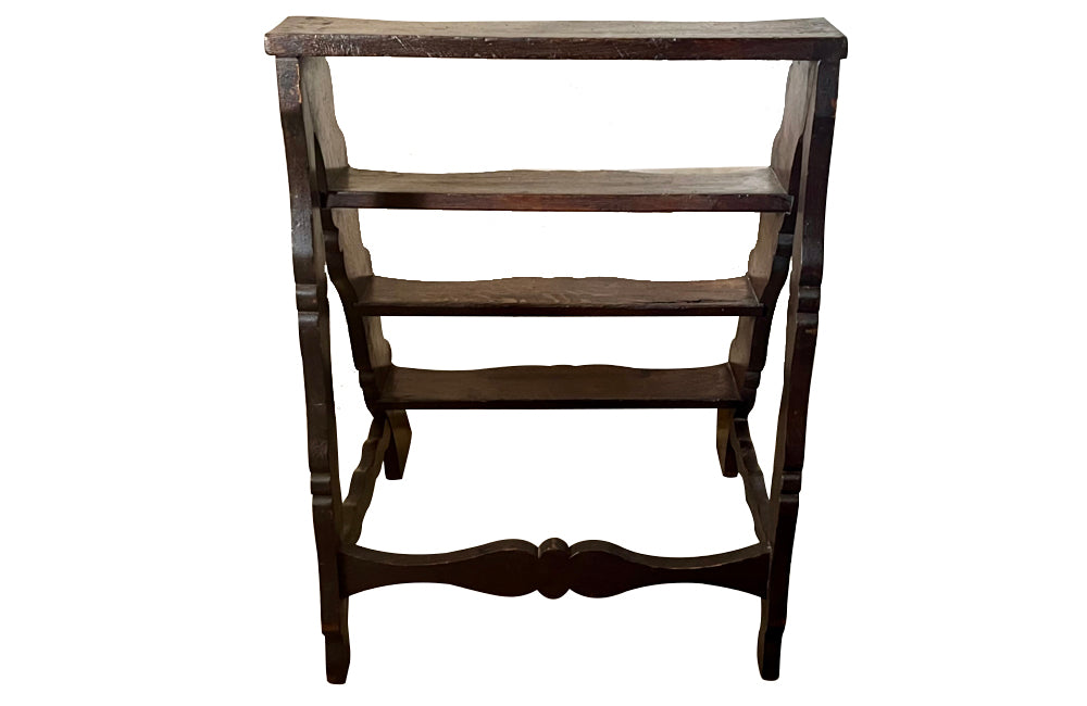 19th Century French country library steps