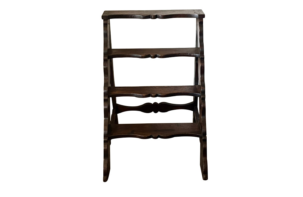 19th Century French country library steps