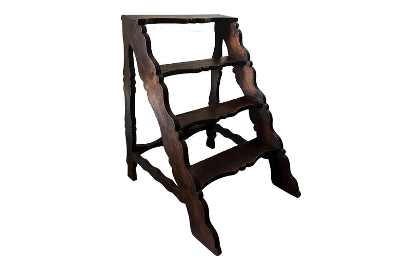 19th Century French country library steps