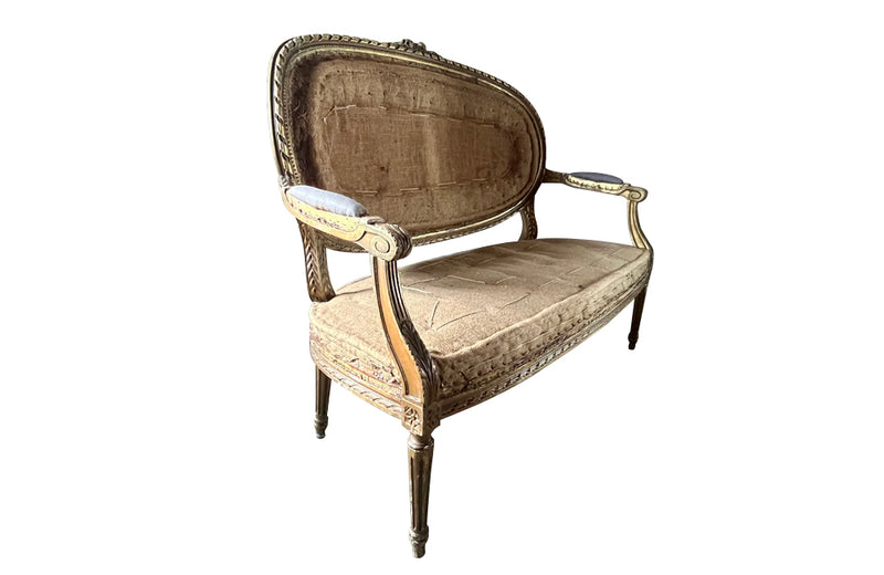 19th century, elegant giltwood carved canapé sofa in the Louis XVI style