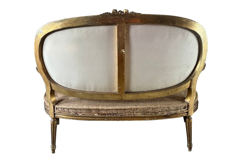 19th century, elegant giltwood carved canapé sofa in the Louis XVI style