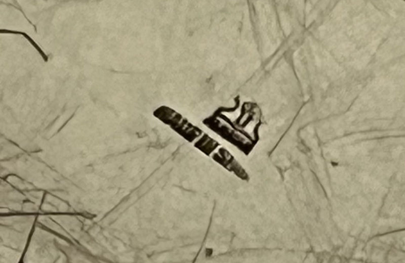 Large 20th Century Spanish elegant champagne bucket.