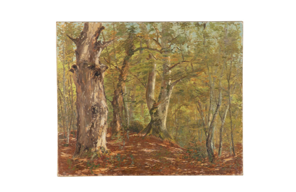 20th Century French oil on canvas painting of a forest by Barillot