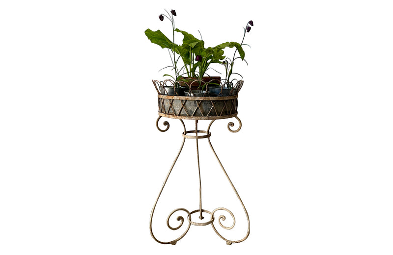 FRENCH IRON WIREWORK PLANT STAND