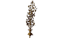 Antique candelabra in brass - French Antiques