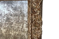 19TH CENTURY FRENCH FOXED MIRROR IN CARVED AND GILTWOOD FRAME